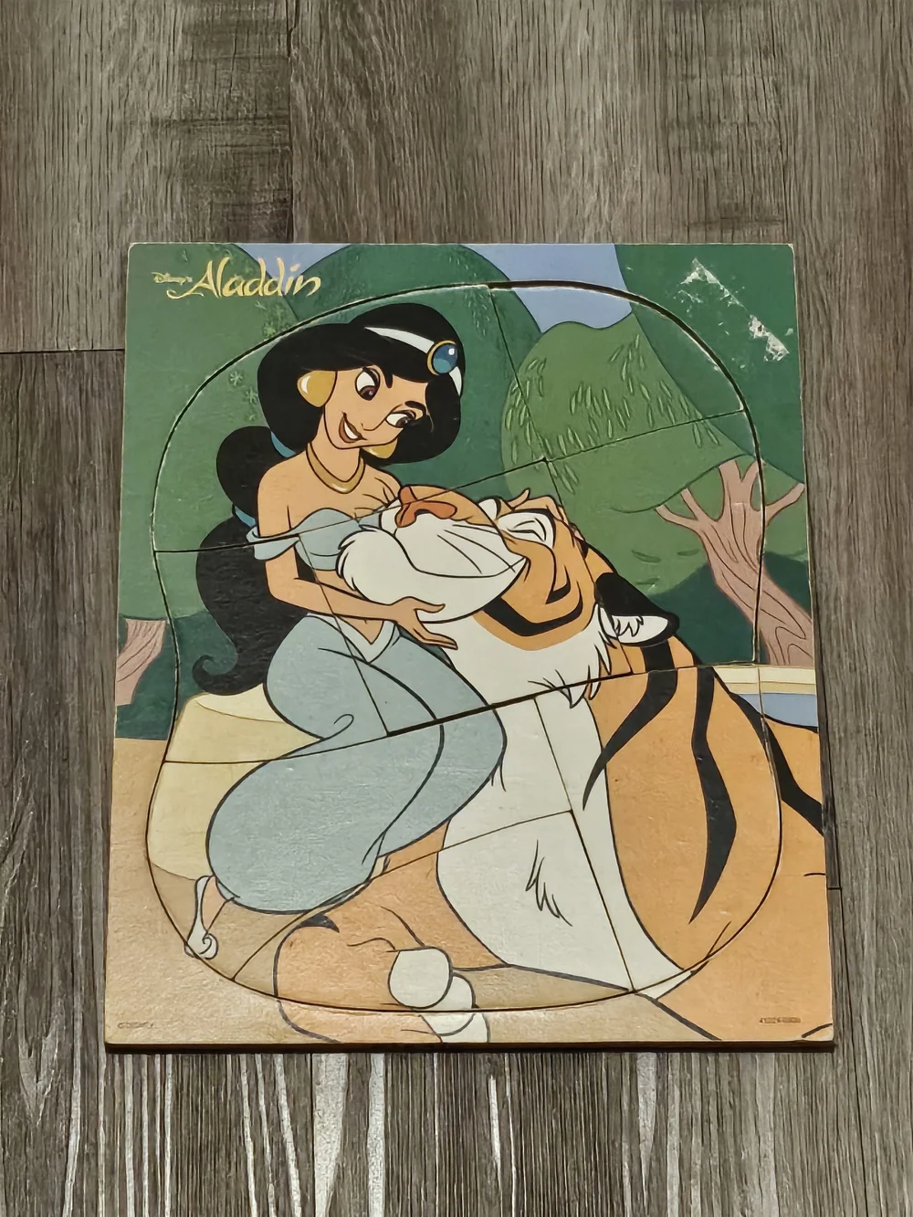 Disney Blue & Green Princess Jasmine with Rajah Wooden Puzzle Panel